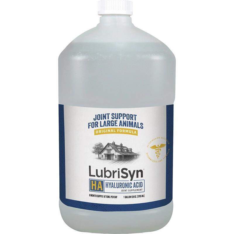Halstrum, LLC. LubriSyn HA Pet and Equine Joint Formula Supplement for Horses, Dogs and Cats, 1 Gallon