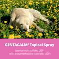 Gentacalm Topical Spray