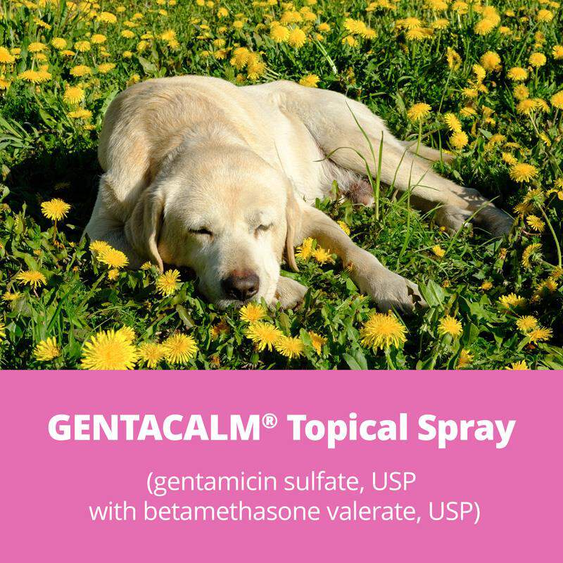 Gentacalm Topical Spray