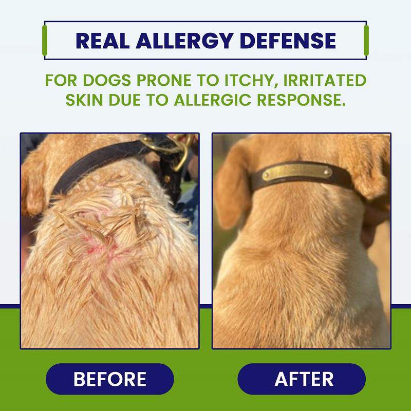 Allergy CZN Supplement for Dogs, 120 Soft Chews