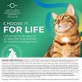 Merck VetPen Needles for Dogs and Cats with Diabetes, 12 mm (29 g), 100 Count
