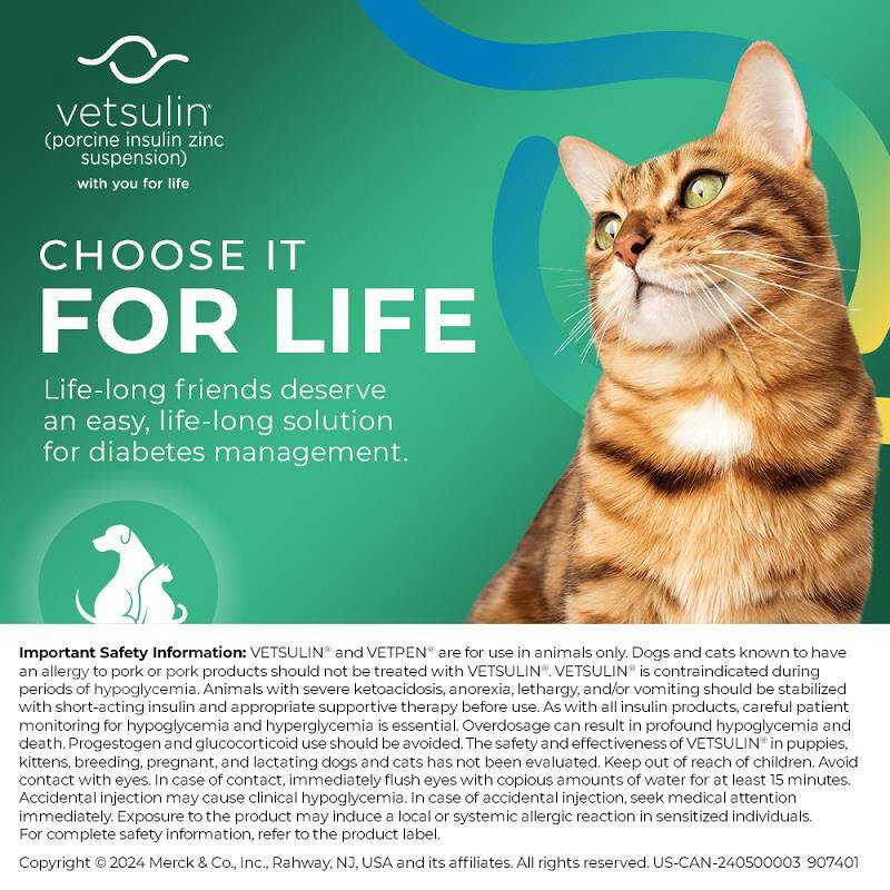 Merck VetPen Needles for Dogs and Cats with Diabetes, 12 mm (29 g), 100 Count