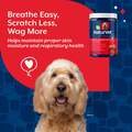 NaturVet Aller-911 Allergy Aid Plus Antioxidants Soft Chews for Dogs and Cats, 180 ct