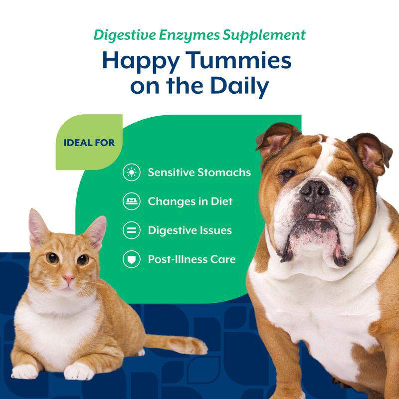 NaturVet Digestive Enzymes Powder