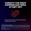 ToMORROW Mastitis Treatment for Dry Cows