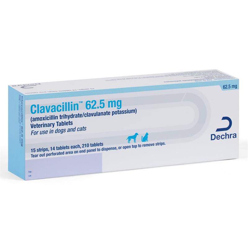 Clavacillin (Amoxicillin Trihydrate and Clavulanate Potassium) Tablet