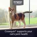 Cosequin Maximum Strength Joint Health Supplement for Cats, 30 Sprinkle Capsules