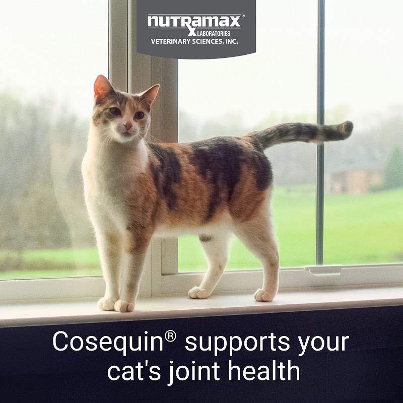 Cosequin Maximum Strength Joint Health Supplement for Cats, 30 Sprinkle Capsules