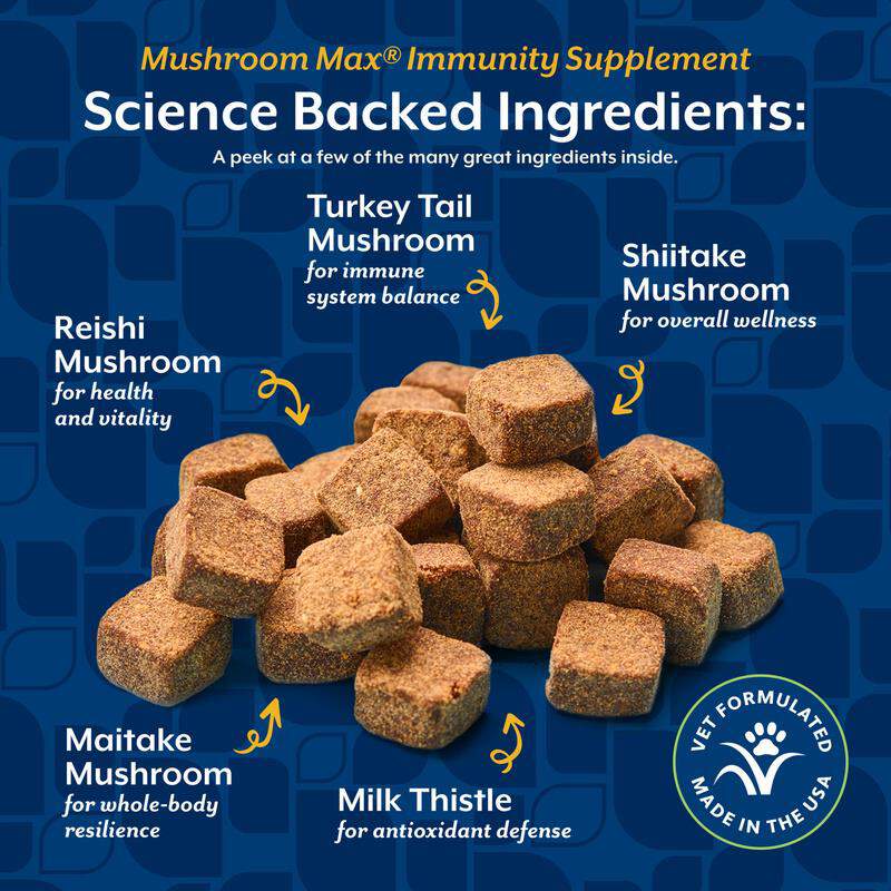 NaturVet Mushroom Max Advanced Immune Support with Turkey Tail Soft Chews for Dogs & Cats