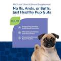 NaturVet No Scoot Soft Chews for Dogs