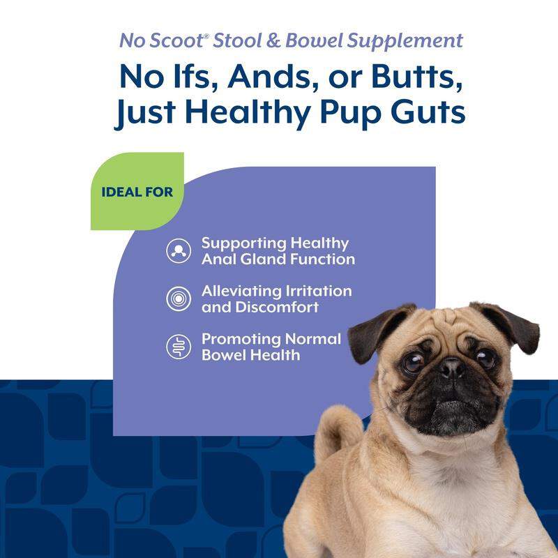 NaturVet No Scoot Soft Chews for Dogs