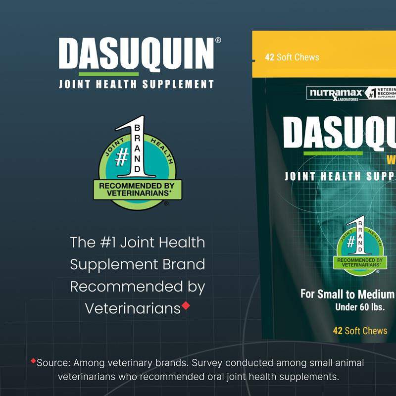 Dasuquin with MSM Soft Chews