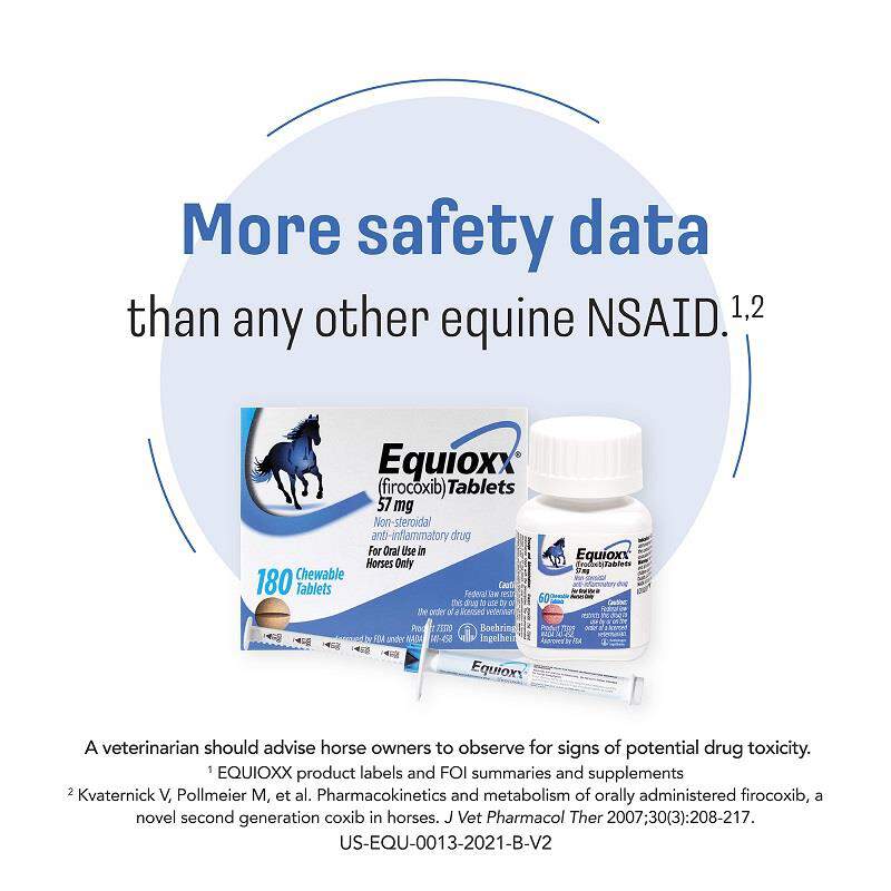 Equioxx Oral Paste
