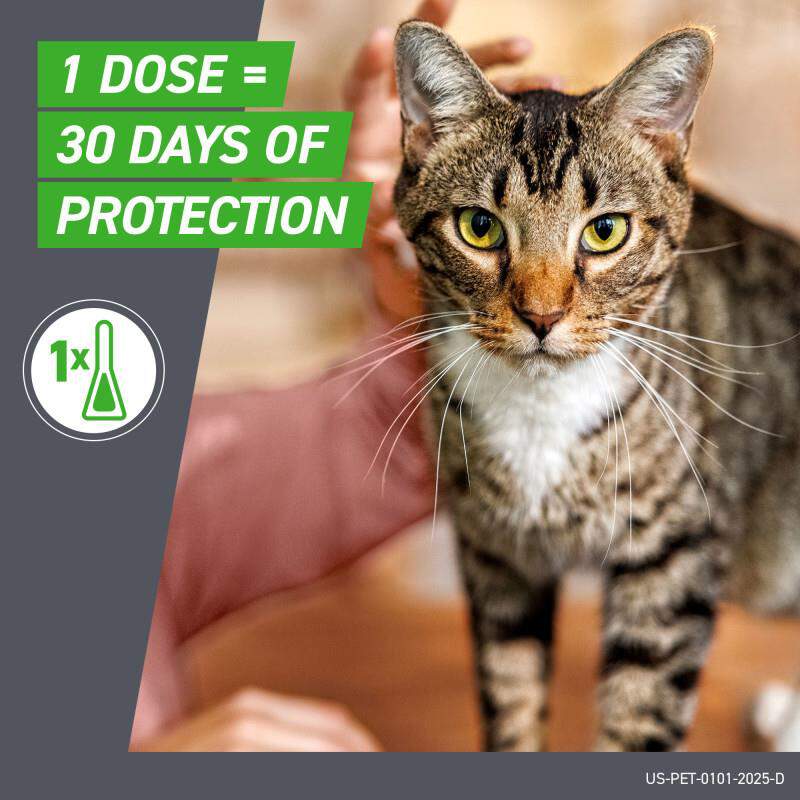 Frontline Plus for Cats and Kittens