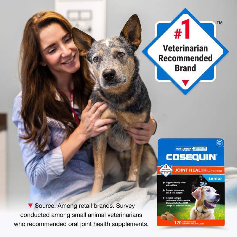 Cosequin Senior Maximum Strength Joint Health Supplement for Dogs, 120 Soft Chews