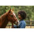 Zoetis Quest Equine Gel for Horses with Worms, 1 syringe, 0.04 ounces