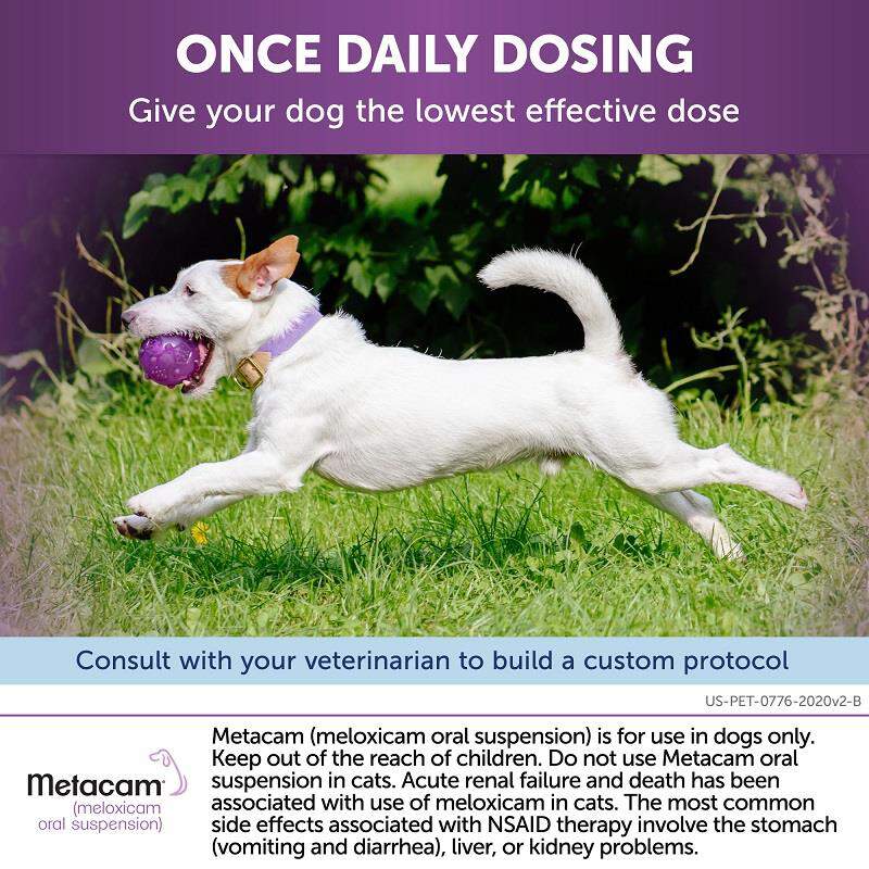 Metacam 0.5 mg/ml Oral Suspension