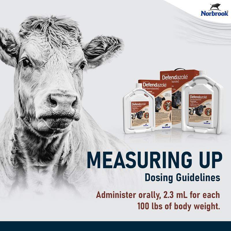 Defendazole (fenbendazole) Suspension 10% Dewormer for Beef & Dairy Cattle and Goats
