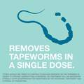 Elanco Tapeworm Dewormer (Praziquantel) for Cats, 3 Tablets