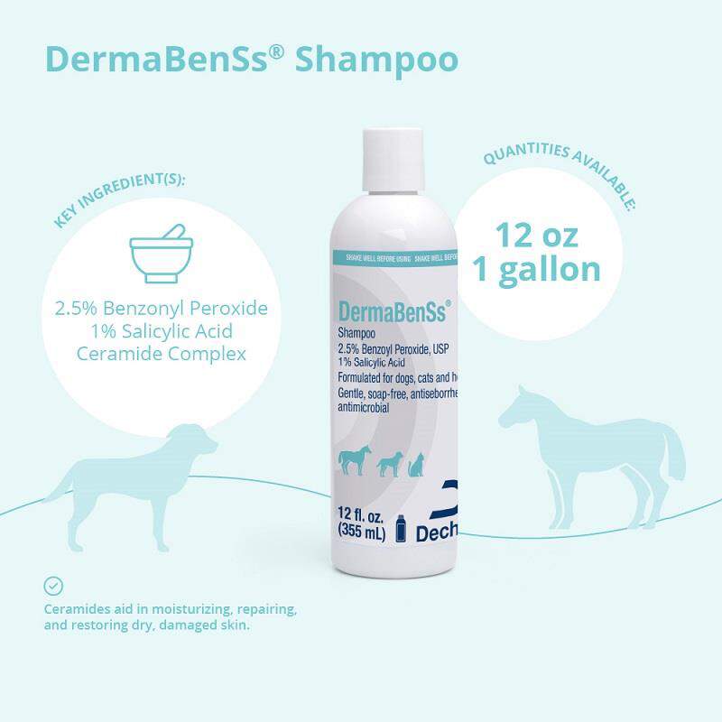 DermaBenSs Shampoo