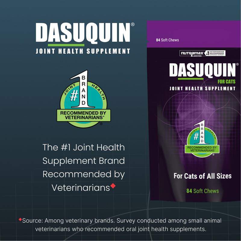 Dasuquin for Cats, 84 Soft Chews