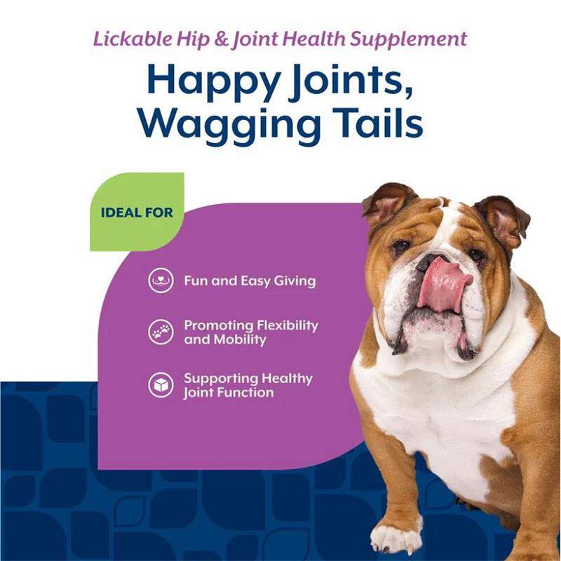 NaturVet Lickable Hip & Joint Health Supplement for Dogs, Peanut Butter Flavor, 6.4 fl oz