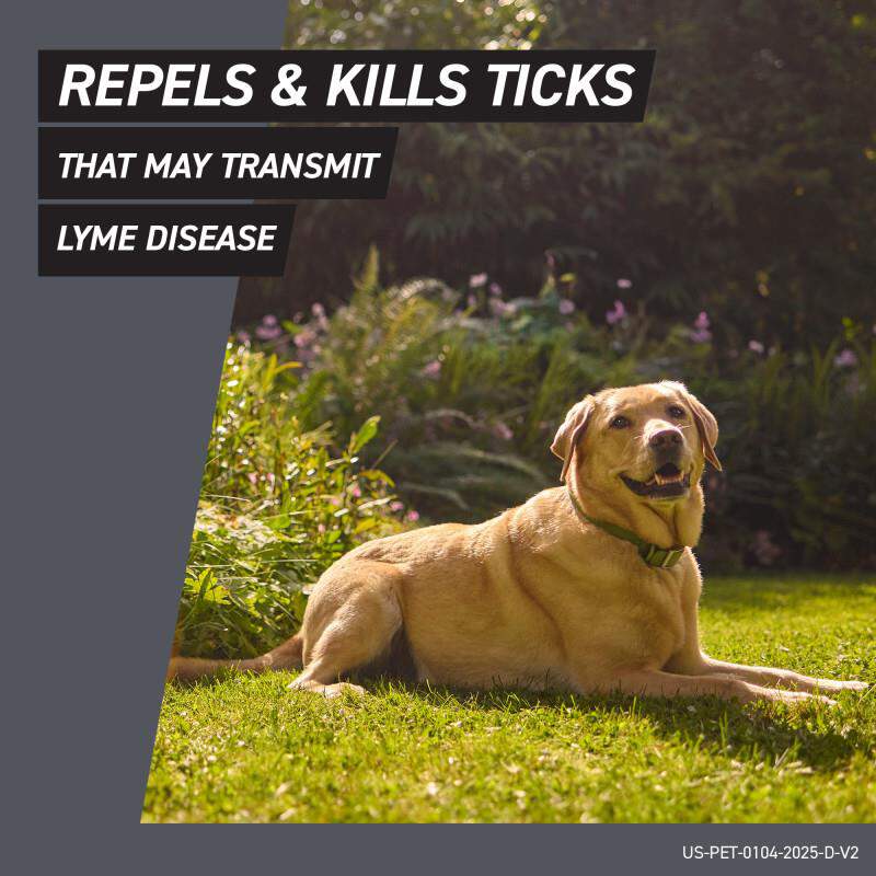 Frontline Shield for Dogs