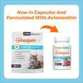 Imuquin Immune Support Supplement for Cats, 30 Sprinkle Capsules
