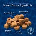 NaturVet No Scoot Soft Chews for Dogs