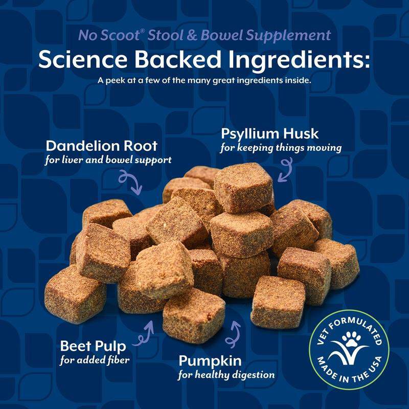 NaturVet No Scoot Soft Chews for Dogs
