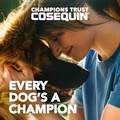 Cosequin Chews Plus MSM