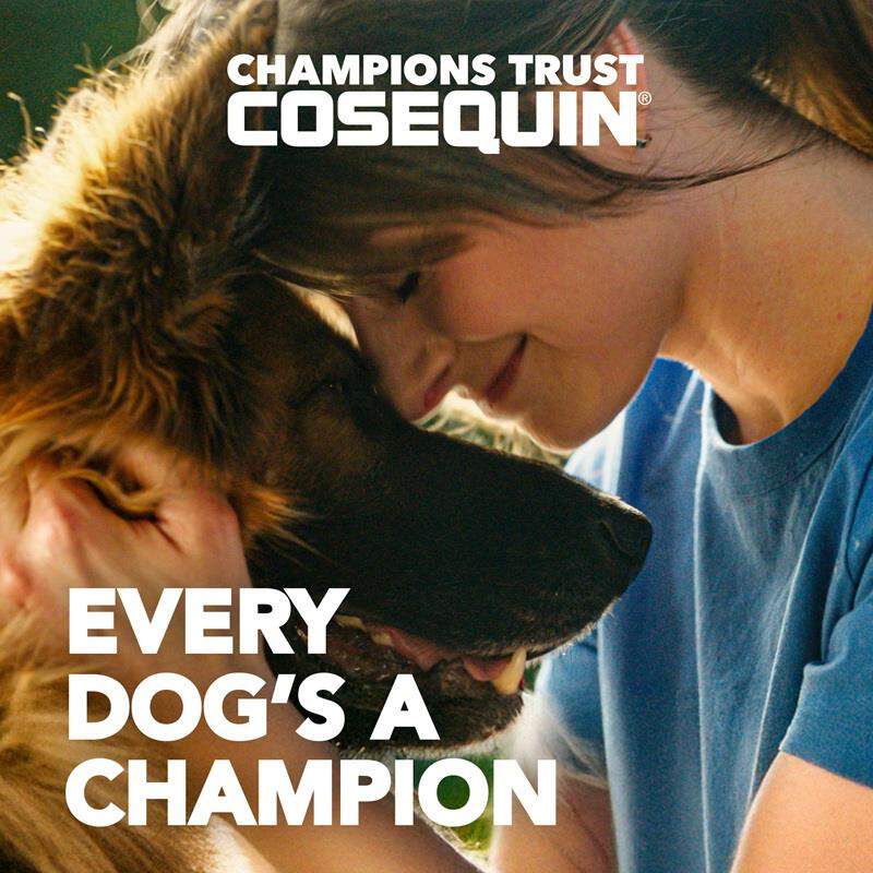 Cosequin Chews Plus MSM