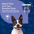 NaturVet No Toot Gas Aid Plus Fennel for Dogs, 70 Soft Chews