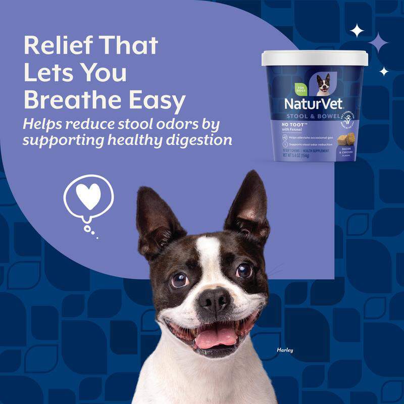 NaturVet No Toot Gas Aid Plus Fennel for Dogs, 70 Soft Chews
