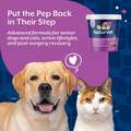 NaturVet Advanced Joint Care Hip & Joint Supplement for Dogs and Cats, 70 Soft Chews