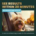 VetriScience Composure Calm & Confident, 60 Soft Chews