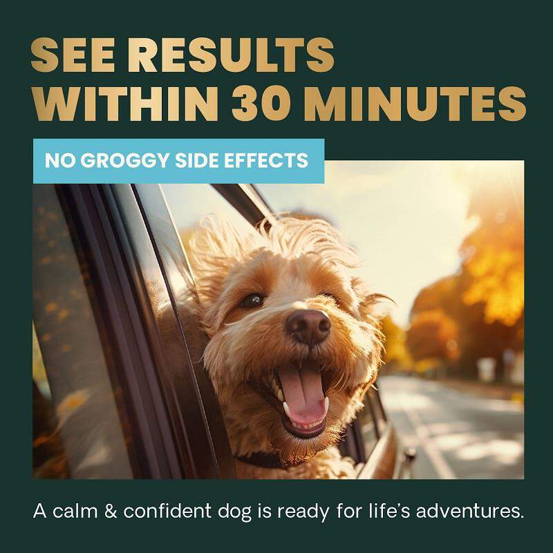 VetriScience Composure Calm & Confident, 60 Soft Chews