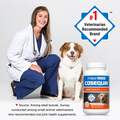 Nutramax Cosequin Maximum Strength Plus MSM and HA for Dogs, 75 Chew Tabs
