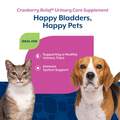 NaturVet Cranberry Relief Powder, 50 gm