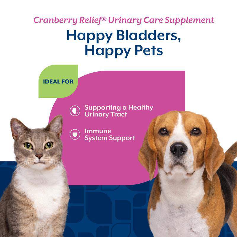 NaturVet Cranberry Relief Powder, 50 gm