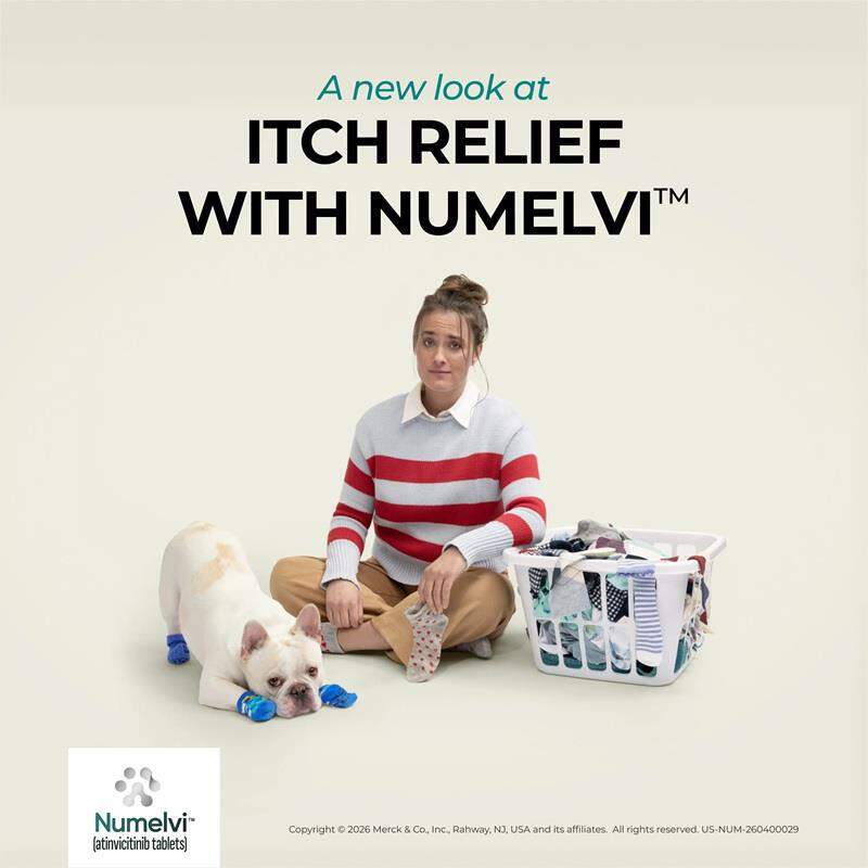 Numelvi (atinvicitinib tablets) for Dogs
