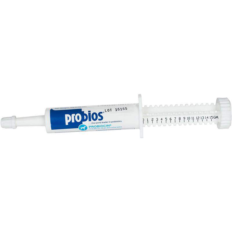 Bomac Vets Plus Probios Oral Gel for Pets for Dogs and Cats with Upset Stomach, 15 gm Syringe