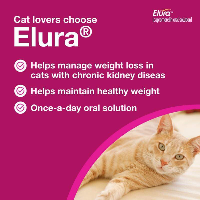 Elura (capromorelin oral solution) 20 mg/mL for Cats, 15 ml