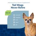 NaturVet Senior Advanced 5-in-1 Support Soft Chews for Dogs