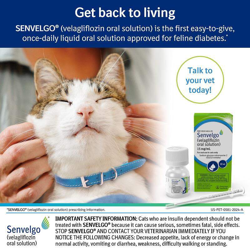 Senvelgo (velagliflozin oral solution) for Cats, 15 mg/ml