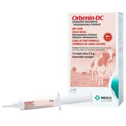 Orbenin-DC (Cloxacillin Benzathine Intramammary Infusion) for Dry Cows 7.5 g