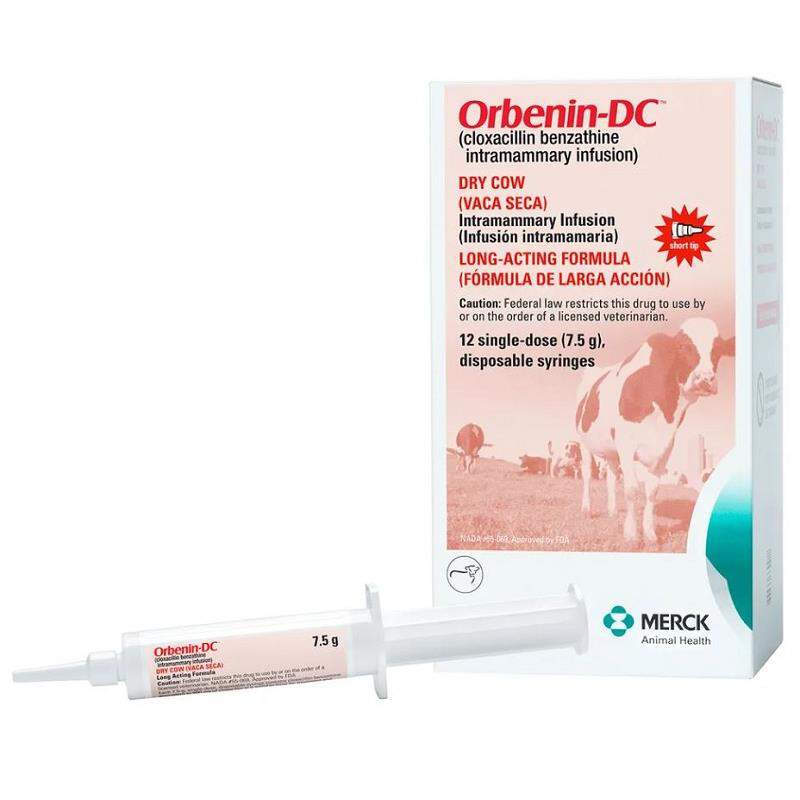 Orbenin-DC (Cloxacillin Benzathine Intramammary Infusion) for Dry Cows 7.5 g