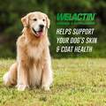 Welactin for Dogs 16 oz