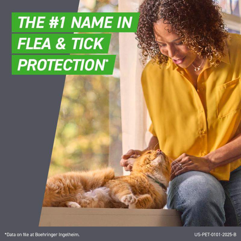 Frontline Plus for Cats and Kittens