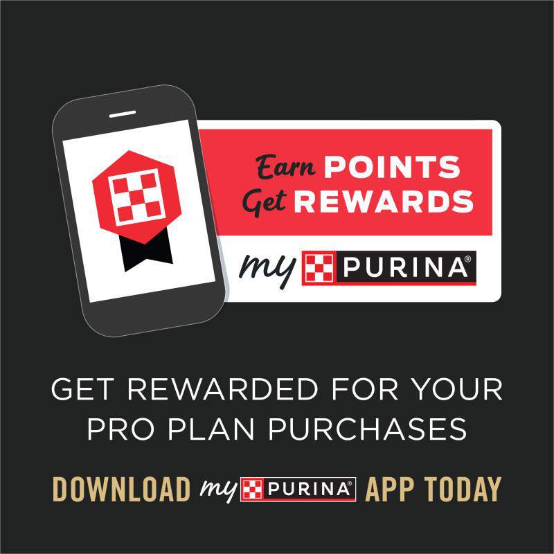Purina Pro Plan Veterinary Diets OraChews Dental Care Treats for Dogs